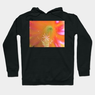 Cactus Blossom Hoodie